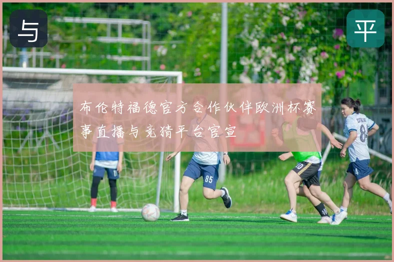 布伦特福德官方合作伙伴欧洲杯赛事直播与竞猜平台官宣